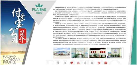 付愛寶是正規公司嗎？